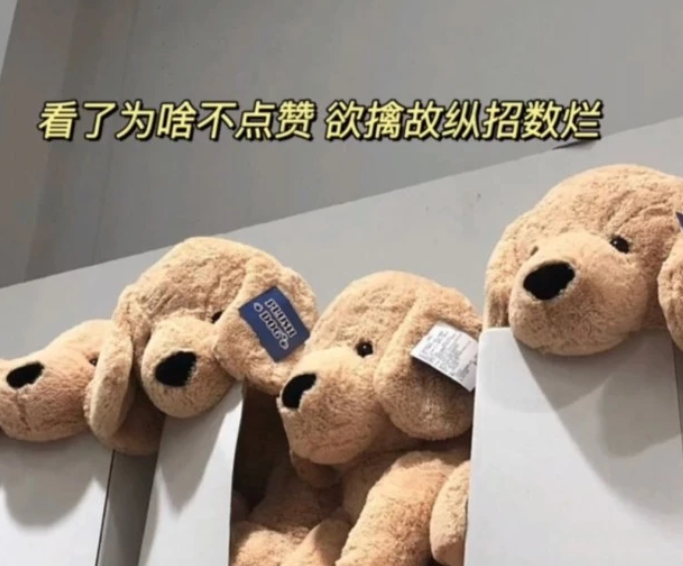 关于姓氏的可爱押韵短句