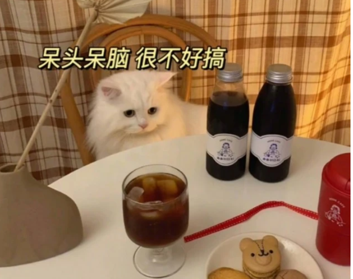 关于姓氏的可爱押韵短句