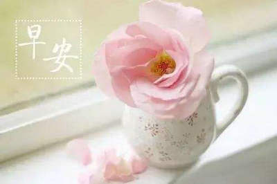 正能量早上问好的句子