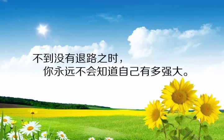 正能量的句子经典语句工作激励