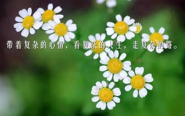 正能量的句子经典语句工作激励