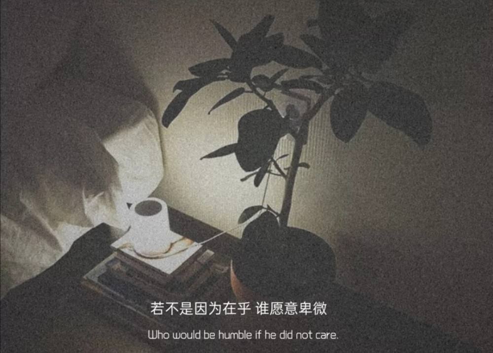 情感类文案教程(情感文案site)