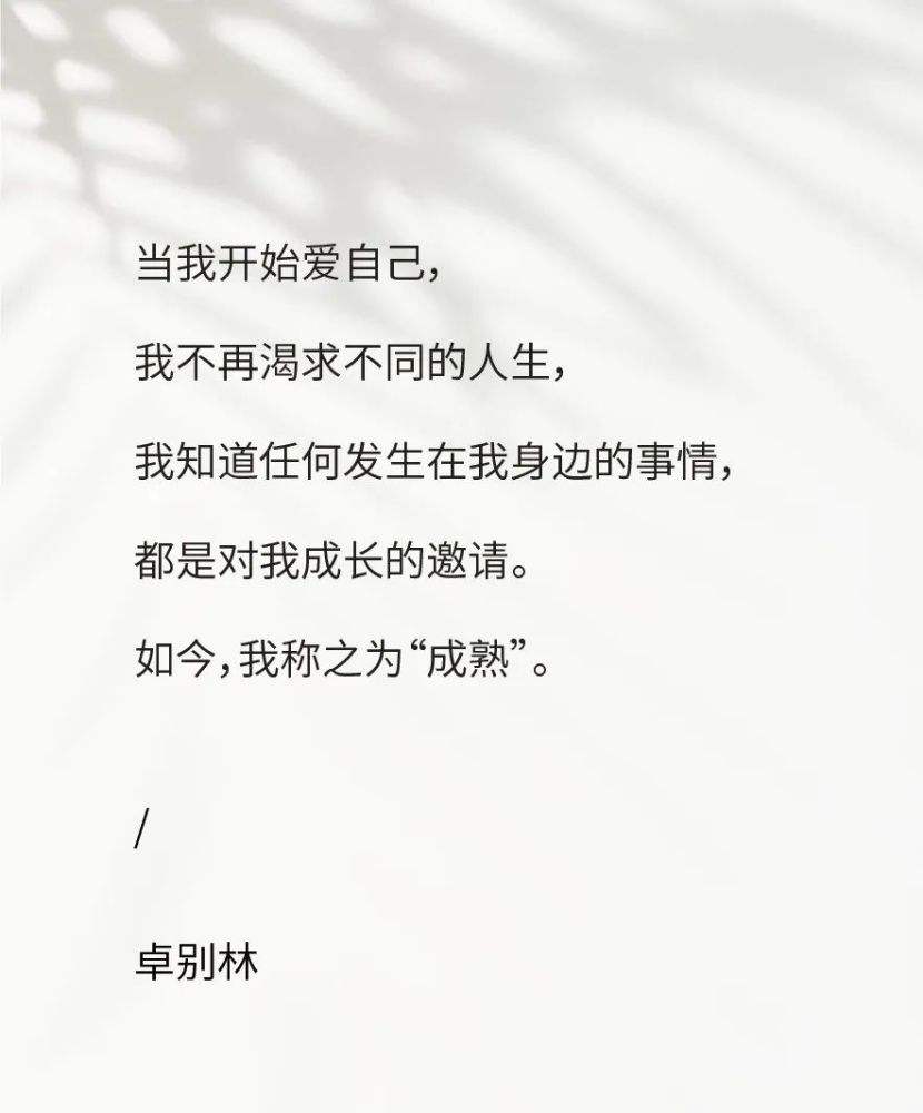 情感类文案教程(情感文案site)