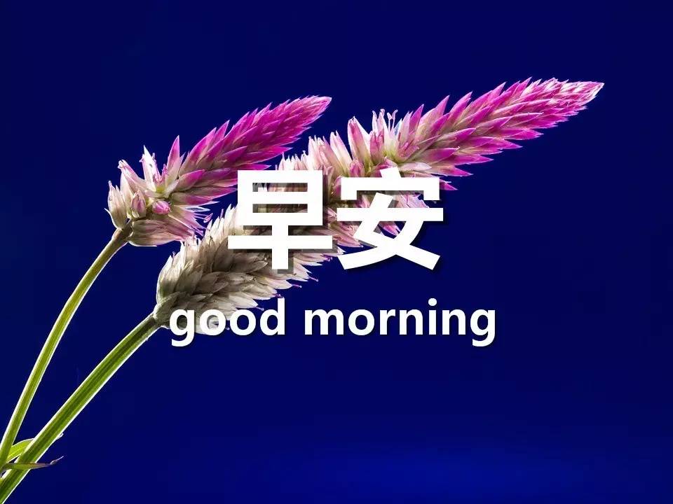 早安暖心话 早安心语简单一句话