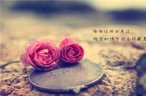 谈情，是未烬的暖味，还是残余的暧昧