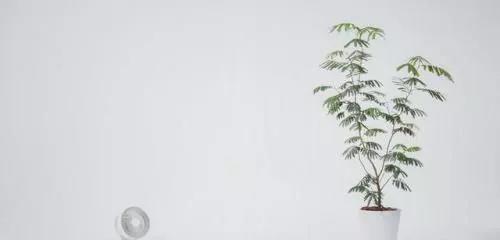 经典说说心情短语霸气