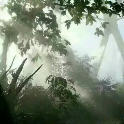 经典语录太经典了