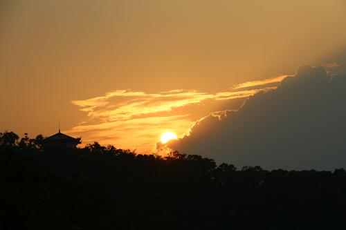 太宰治斜阳的经典语录