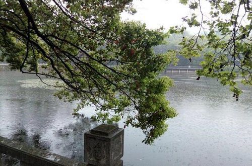 静默存放，不负流年