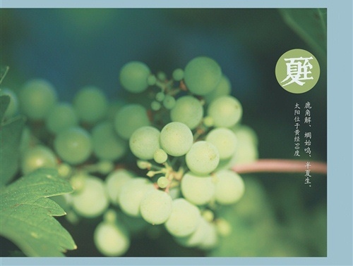 今日夏至的说说 2021夏至发朋友圈的说说29句