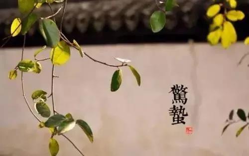 惊蛰节气发朋友圈