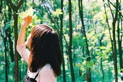 超级温柔干净的文案短句