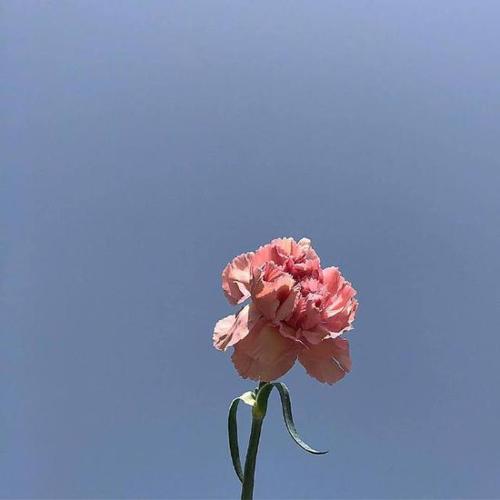 早间问候语录 早安祝福语