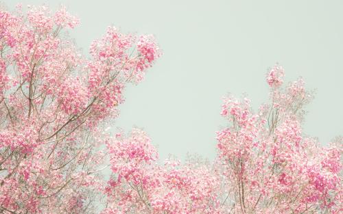 最幸福的爱情经典语录集锦