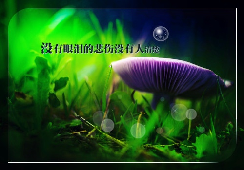 一切都回不去了的说说 回不去的曾经说说22句