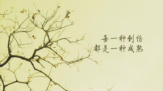 企业文化的正能量经典语录 正能量企业文化宣传稿