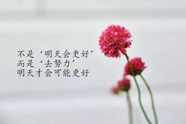 适合妇女节发的温馨祝福语