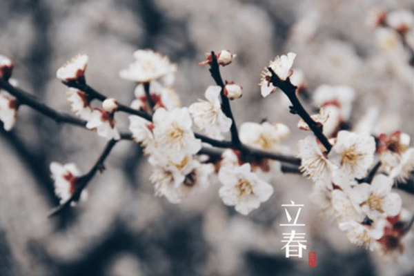 立春的说说心情短语