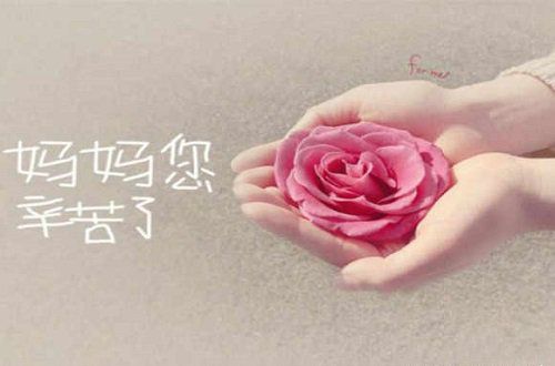 悠悠寸草心，难报三春晖