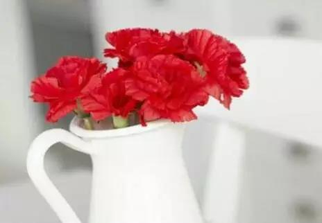 清明哀思寄语