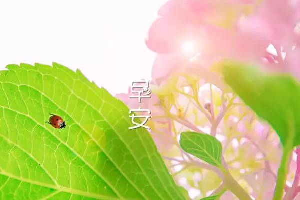 早上满满的正能量句子
