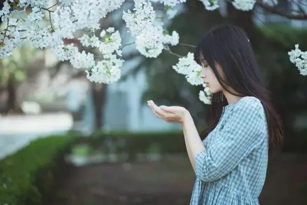 表达喜欢你的句子简短
