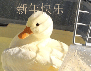 你好2021的沙雕文案