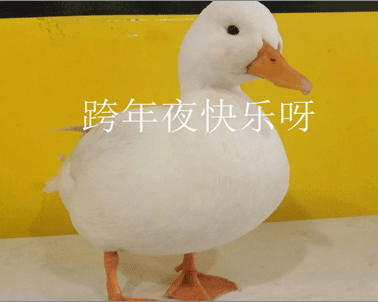 你好2021的沙雕文案
