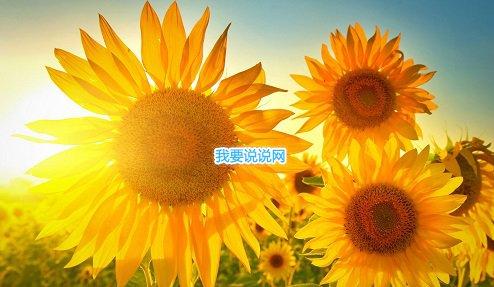 女神节对老婆说的话 祝福美女节日快乐简短