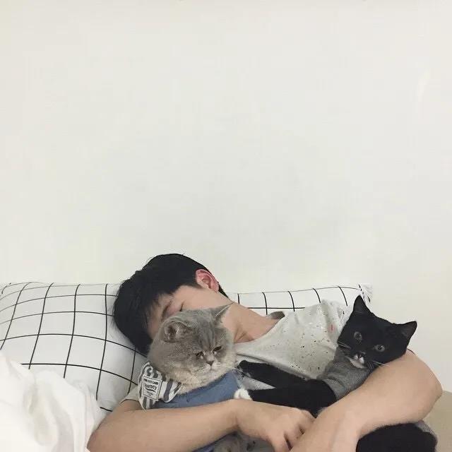 一句暖心的生日祝福语男朋友