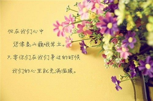 最难懂的，莫过于慈母的情怀
