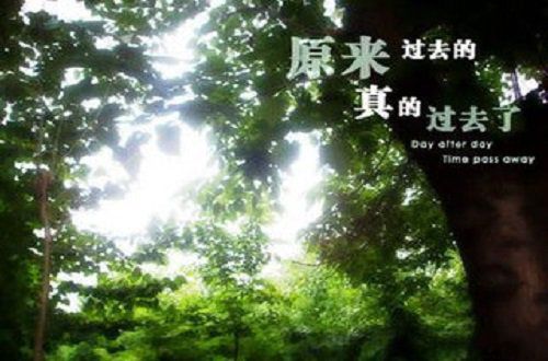 离别与相见的岁月之旅