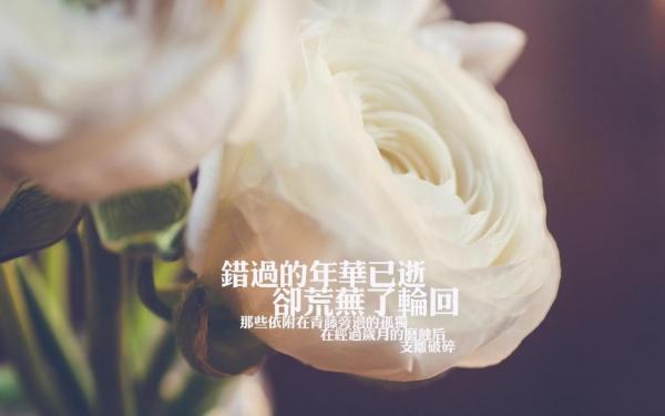 形容生活糟糕透顶的心情说说 在没有光明的地方,黑暗也是一盏灯