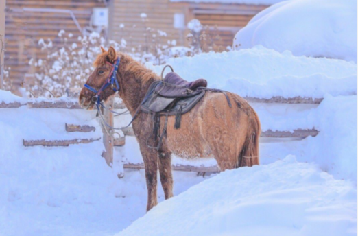 下雪发朋友圈短句