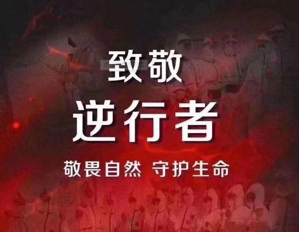 防疫精简短语
