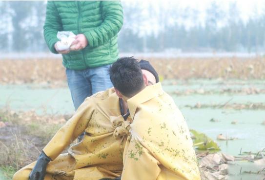 了不起的挑战经典语录,撒贝宁乐嘉岳云鹏小尼说过的话