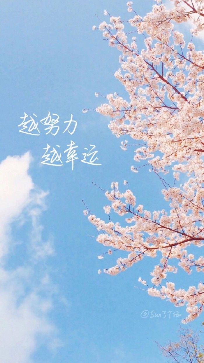 宋词最唯美的诗句