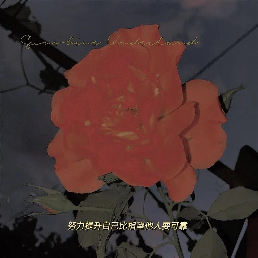 很暖很治愈的短句配图