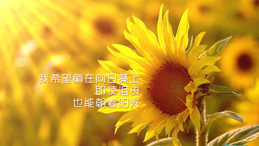 一句话励志正能量句子 努力,加油,阳光的句子