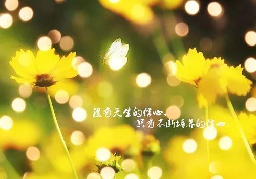 感慨人生生活的句子说说心情