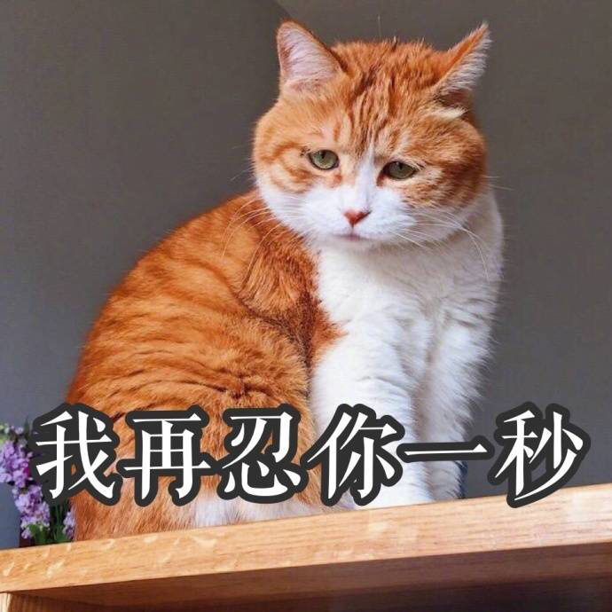 幽默又有梗的搞笑qq说说大全带图片