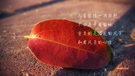 鸡汤语录 正能量 励志短句
