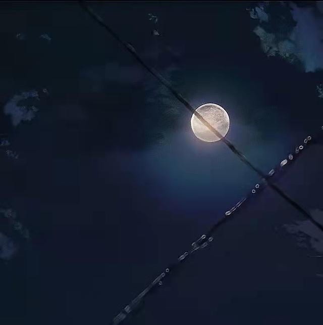 情感委屈温柔文案(有点心酸的温柔文案)