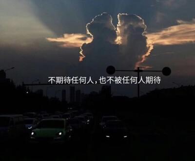 关于鲸的温柔文案