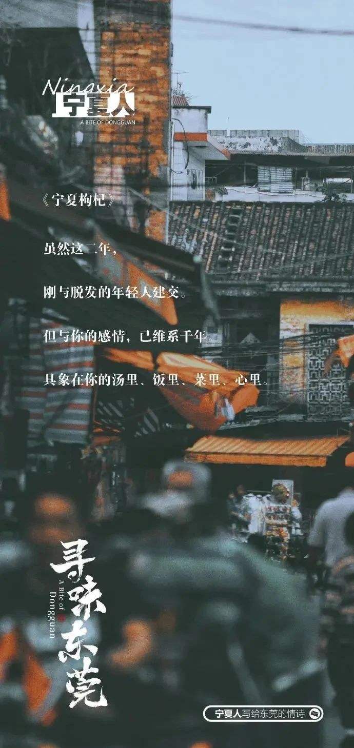 唯美合拍情感文案(适合情侣的拍一拍文案)