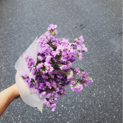 个人心情说说 从相遇到离开