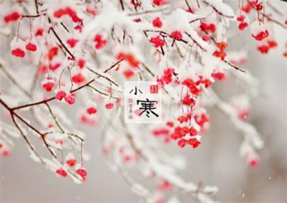有关运动的名人名言