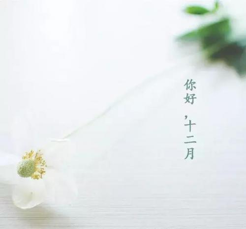 温暖你整个十二月的文艺说说15句
