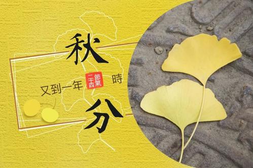 适合秋分发的说说合集45句