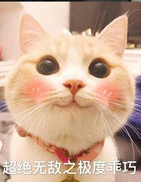 把女生撩到脸红的土味情话